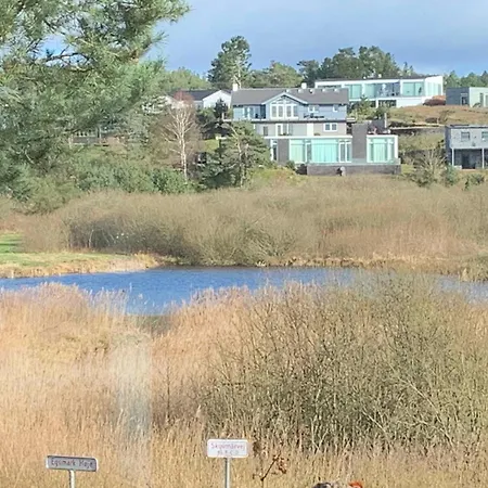 Close To The And Forest And *